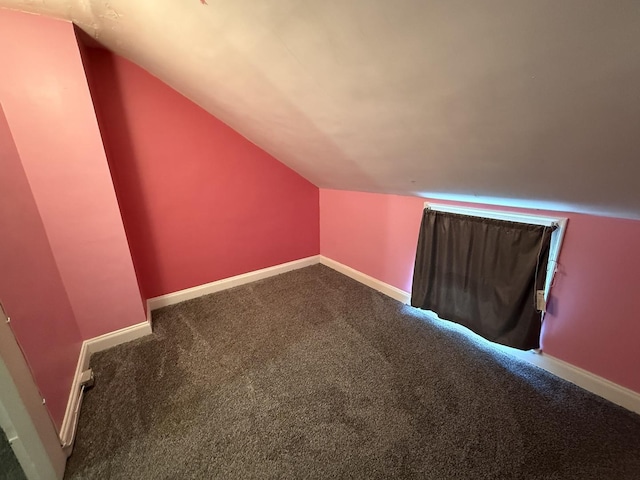 310 E Chippewa St, Dwight, IL 60420 - additional living space featuring vaulted ceiling and carpet floors