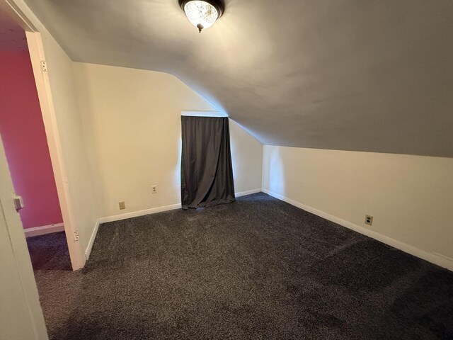 310 E Chippewa St, Dwight, IL 60420 - bonus room with vaulted ceiling and carpet floors