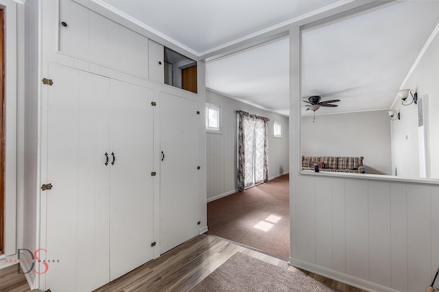 132 New St, Seneca, IL 61360 - entrance foyer featuring wood finished floors and ceiling fan