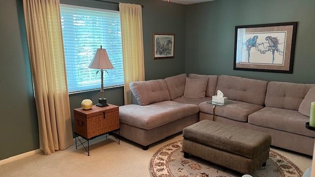13216 N Country Club Ct Unit 2Aa, Palos Heights, IL 60463 - living room with carpet flooring
