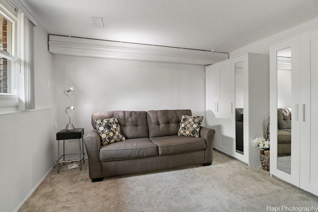 1569 Sherman Pl, Des Plaines, IL 60016 - view of carpeted living room