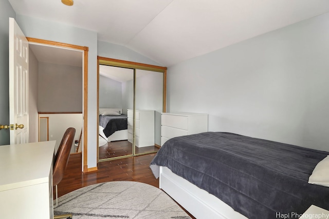 1569 Sherman Pl, Des Plaines, IL 60016 - bedroom featuring vaulted ceiling, wood finished floors, and a closet