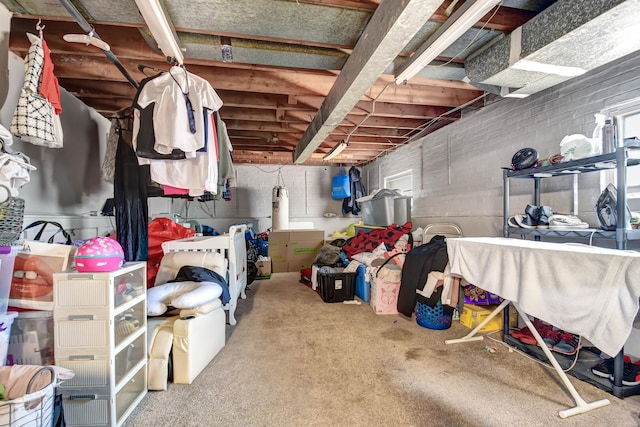 733 Ashland Ave, Chicago Heights, IL 60411 - below grade area featuring carpet