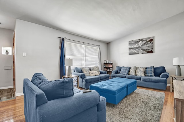 733 Ashland Ave, Chicago Heights, IL 60411 - living room with light wood finished floors and lofted ceiling