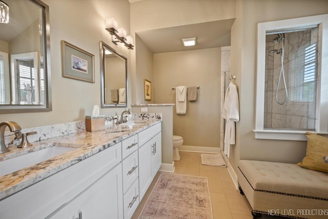 520 Ohio Ave, Saint Charles, IL 60174 - bathroom with double vanity, plenty of natural light, and a shower