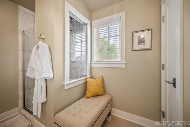 520 Ohio Ave, Saint Charles, IL 60174 - bathroom featuring a shower