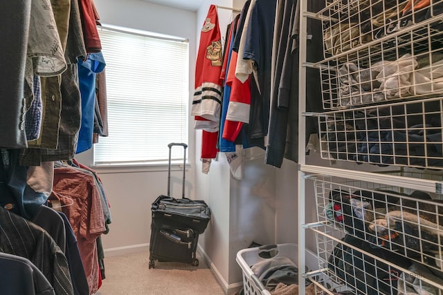 6797 Roanoake Ct, Gurnee, IL 60031 - spacious closet with carpet