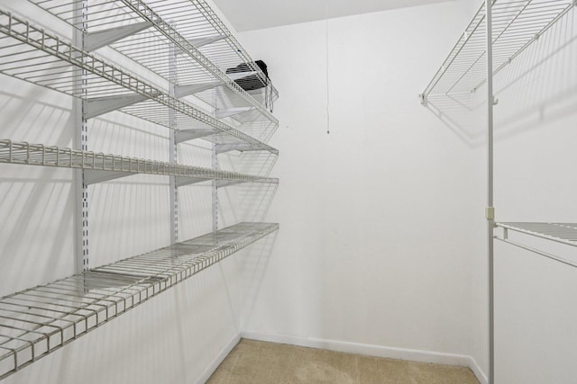 1495 S County Farm Rd Unit 2-4, Wheaton, IL 60189 - walk in closet featuring light colored carpet