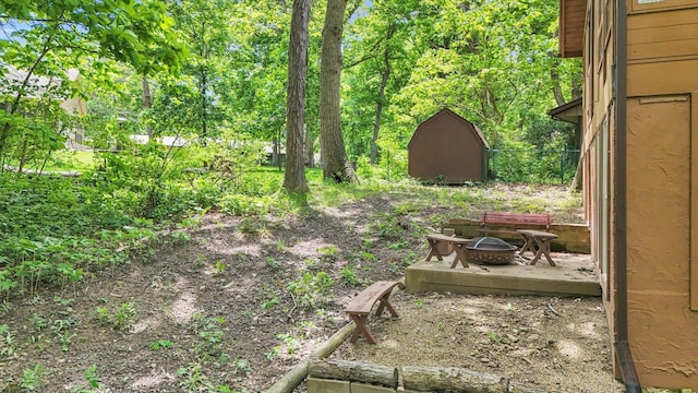 131 Shawnee Ln, Loda, IL 60948 - view of yard with a fire pit