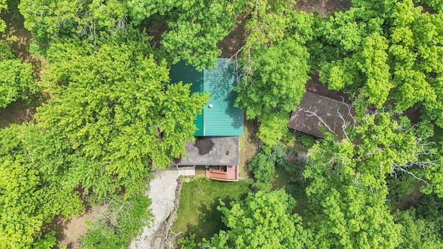 131 Shawnee Ln, Loda, IL 60948 - aerial view of property and surrounding area