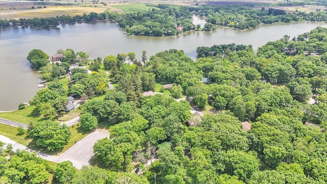 131 Shawnee Ln, Loda, IL 60948 - aerial view of a large body of water