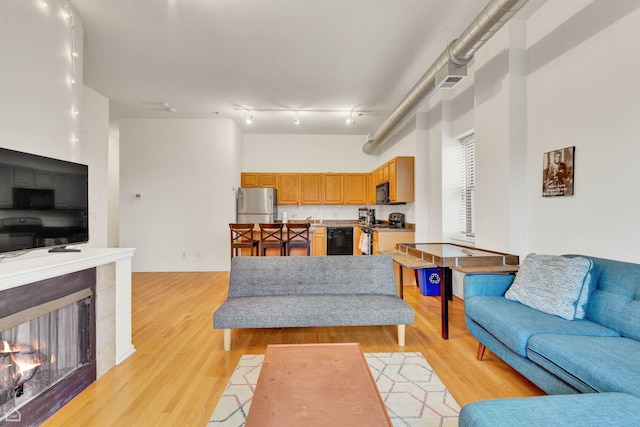 1000 E 53rd St Unit 501, Chicago, IL 60615 - living room featuring light wood finished floors and a multi sided fireplace
