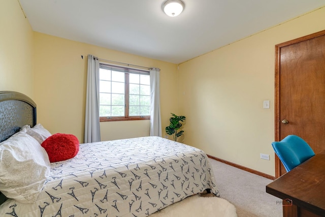 153 W Boardwalk Dr, Palatine, IL 60067 - photo 25
