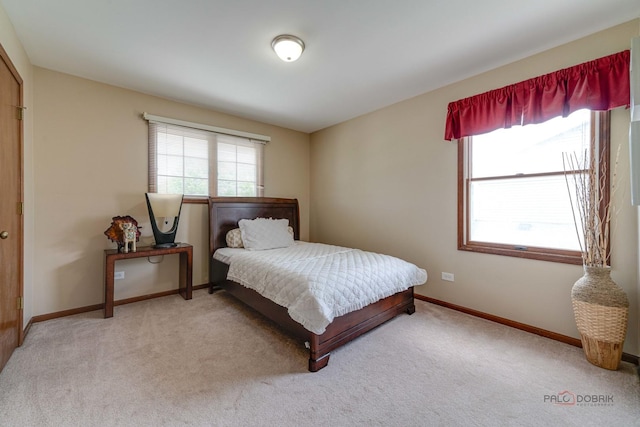 153 W Boardwalk Dr, Palatine, IL 60067 - photo 28
