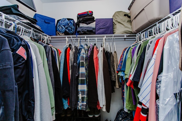 1622 Orchard Ave, Schaumburg, IL 60193 - view of spacious closet