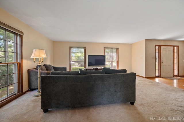 3609 Tamarisk Ct, Crystal Lake, IL 60012 - living room with light carpet and plenty of natural light