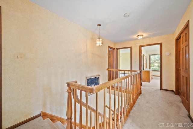 3609 Tamarisk Ct, Crystal Lake, IL 60012 - corridor featuring an upstairs landing and light carpet