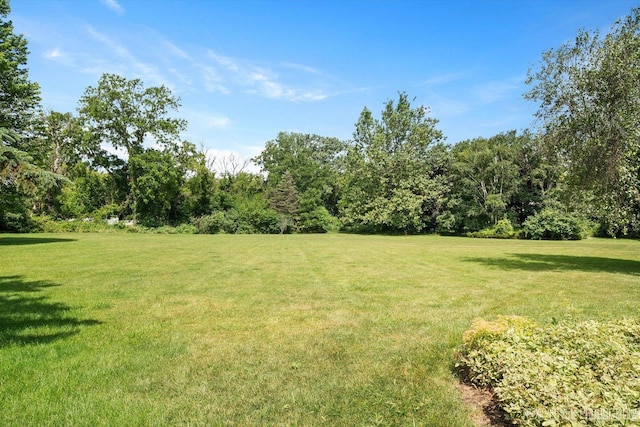 3609 Tamarisk Ct, Crystal Lake, IL 60012 - view of grassy yard