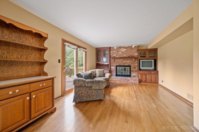 3609 Tamarisk Ct, Crystal Lake, IL 60012 - living room featuring light wood-type flooring, track lighting, and a fireplace
