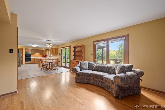3609 Tamarisk Ct, Crystal Lake, IL 60012 - living area featuring light wood-style floors and ceiling fan