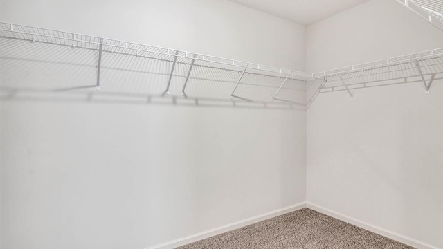 308 Astor Ct, Elgin, IL 60124 - photo 24