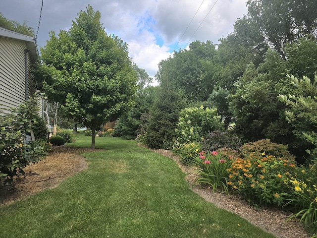 207 Wilson Dr, Watseka, IL 60970 - photo 35
