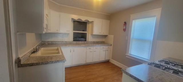 1325 21st Ave, Rockford, IL 61104 - kitchen with light wood-style flooring, white cabinets, tasteful backsplash, and plenty of natural light