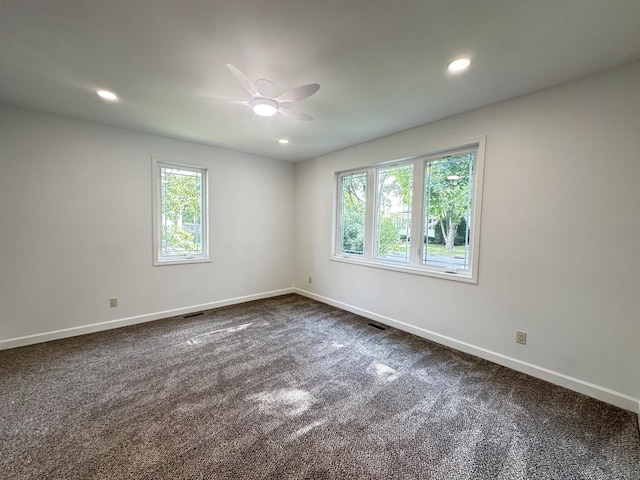 509 N Plum St, Farmer City, IL 61842 - photo 9