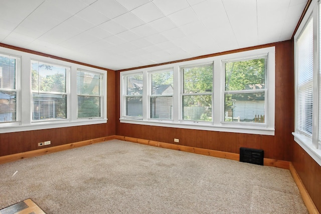 907 W Grove Ave, Waukegan, IL 60085 - unfurnished sunroom with plenty of natural light, carpet flooring, and wood walls