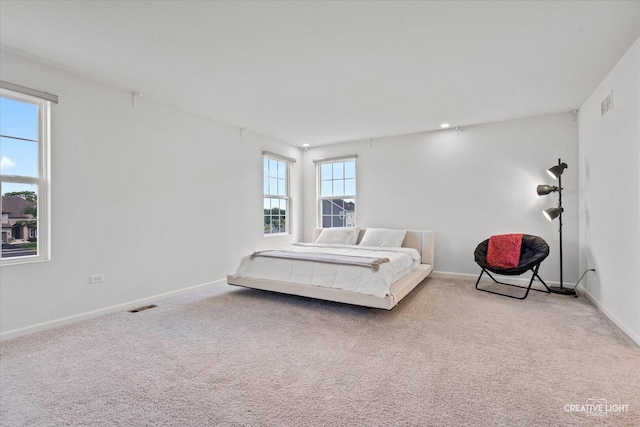 12501 S Willowgate Ln, Plainfield, IL 60585 - bedroom with carpet flooring