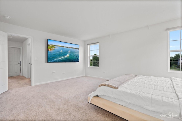 12501 S Willowgate Ln, Plainfield, IL 60585 - bedroom with carpet flooring and baseboards