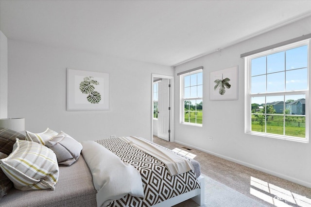 12501 S Willowgate Ln, Plainfield, IL 60585 - carpeted bedroom featuring baseboards