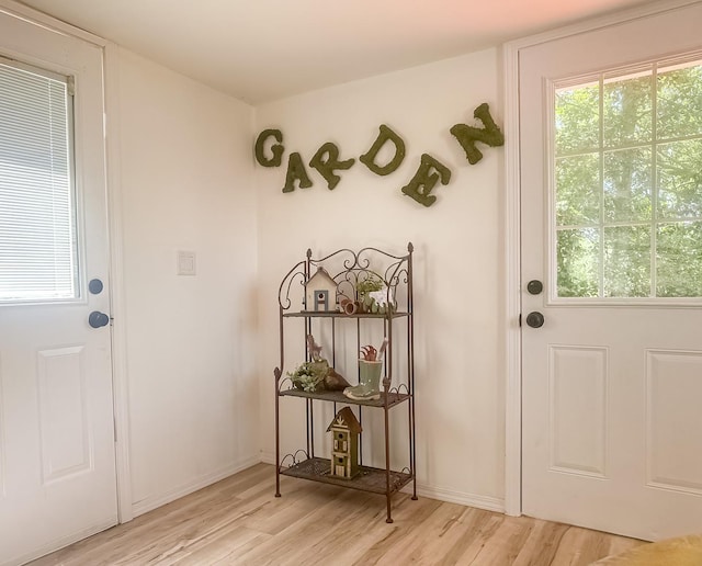 2431 Sandy Hollow Rd, Rockford, IL 61109 - doorway with light wood finished floors