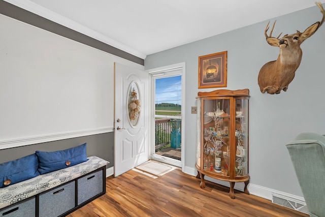2503 Little Rock Rd, Plano, IL 60545 - entrance foyer featuring wood finished floors and baseboards