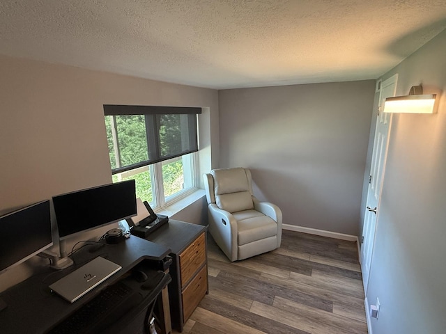 127 S Front St, Hennepin, IL 61327 - office area with wood finished floors and a textured ceiling