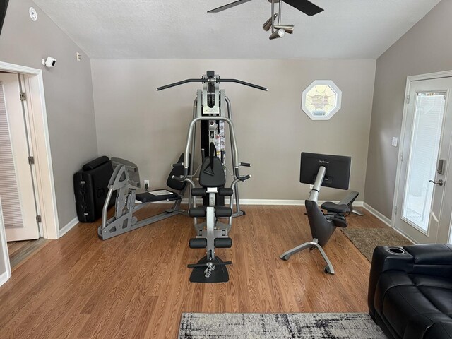 127 S Front St, Hennepin, IL 61327 - exercise area with wood finished floors, a ceiling fan, and healthy amount of natural light