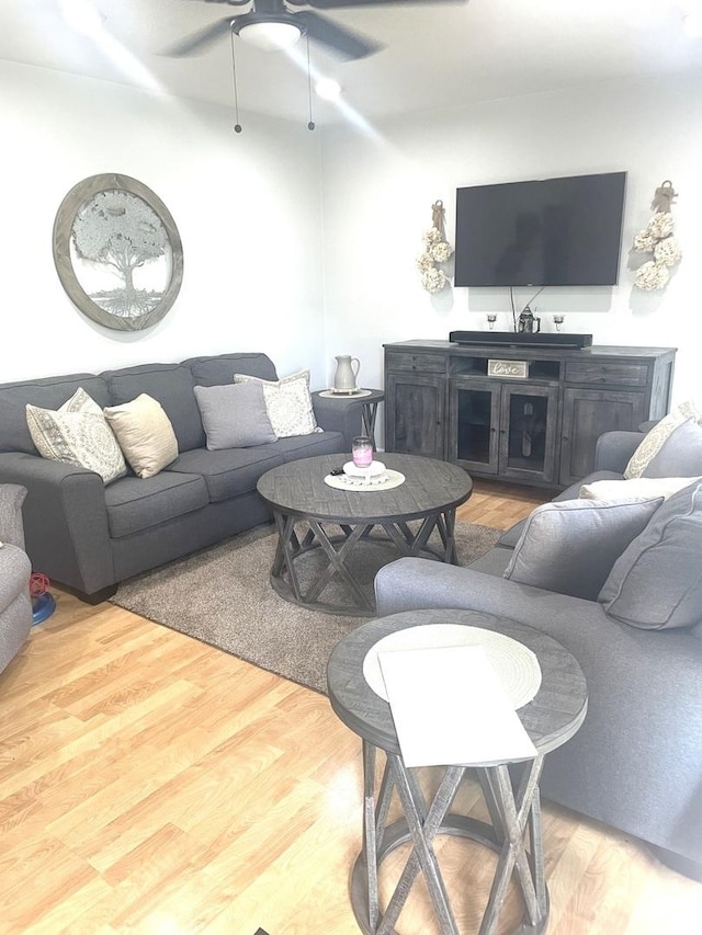 7401 W 113th Pl, Worth, IL 60482 - living room featuring a ceiling fan and wood finished floors