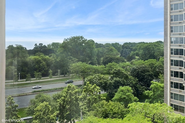 4250 N Marine Dr Unit 925, Chicago, IL 60613 - view of community