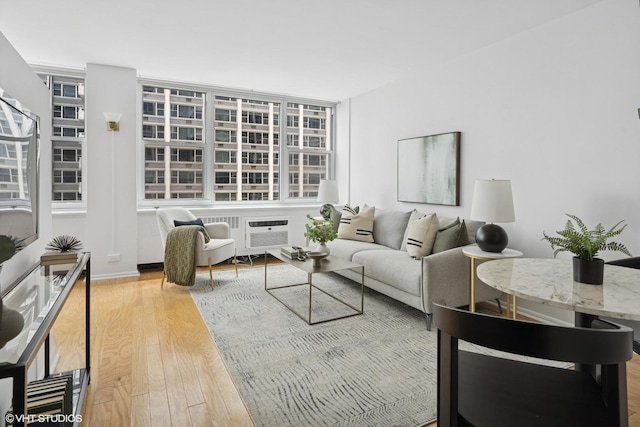 4250 N Marine Dr Unit 925, Chicago, IL 60613 - living room featuring wood finished floors