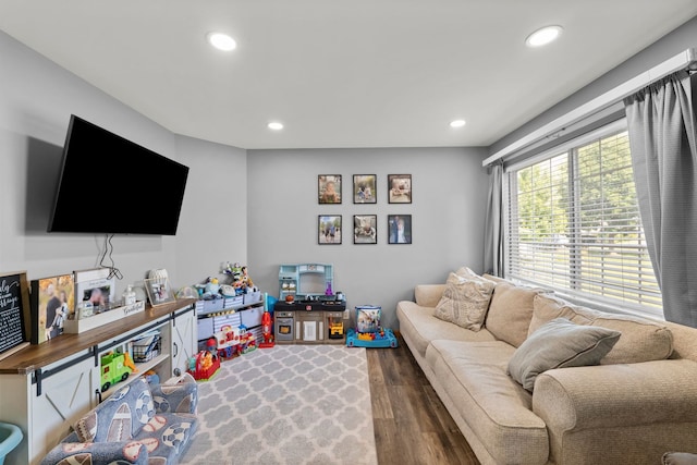 10931 Cape Cod Ln, Huntley, IL 60142 - living room featuring wood finished floors and recessed lighting