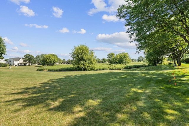 10931 Cape Cod Ln, Huntley, IL 60142 - view of green lawn