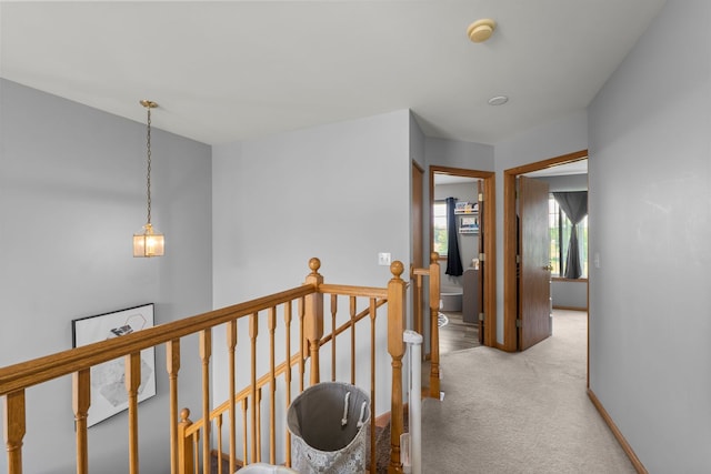10931 Cape Cod Ln, Huntley, IL 60142 - hallway featuring an upstairs landing and carpet floors