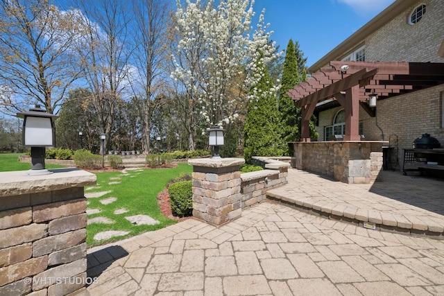 22 Westlake Dr, South Barrington, IL 60010 - view of patio / terrace featuring a pergola and exterior kitchen