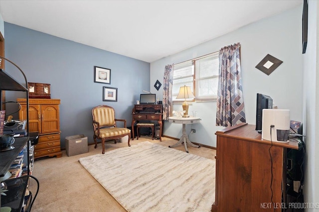 7007 W 110th St, Worth, IL 60482 - view of carpeted office