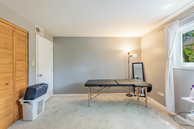 10354 Parkside Ave Unit 3A, Oak Lawn, IL 60453 - office space with carpet floors