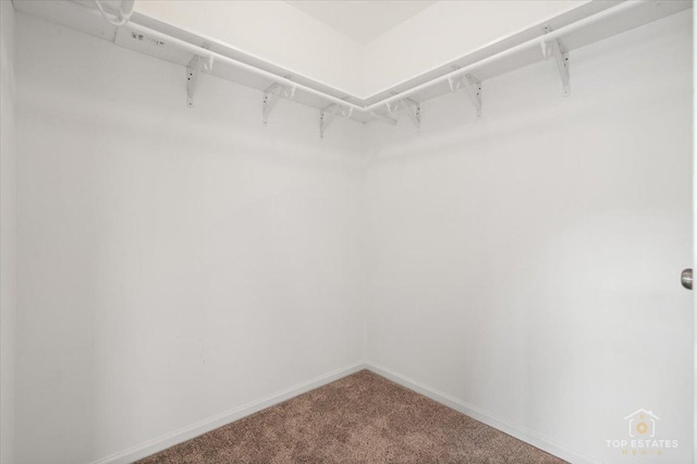 17437 Yakima Dr, Lockport, IL 60441 - spacious closet featuring carpet flooring