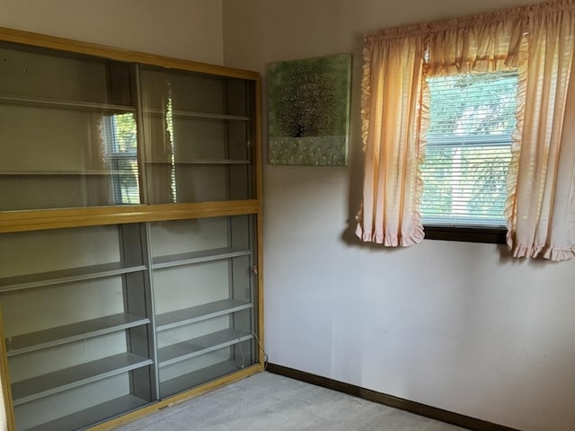 1S513 Chase Ave, Lombard, IL 60148 - empty room featuring carpet and healthy amount of natural light