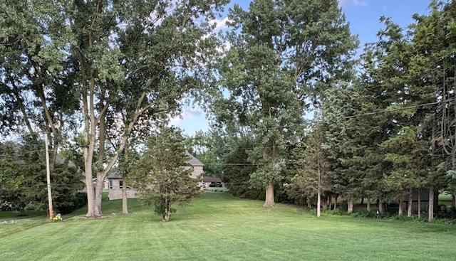 1S513 Chase Ave, Lombard, IL 60148 - view of green lawn