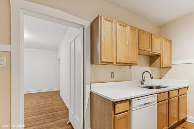 827 Forest Ave Unit 2E, Evanston, IL 60202 - photo 6