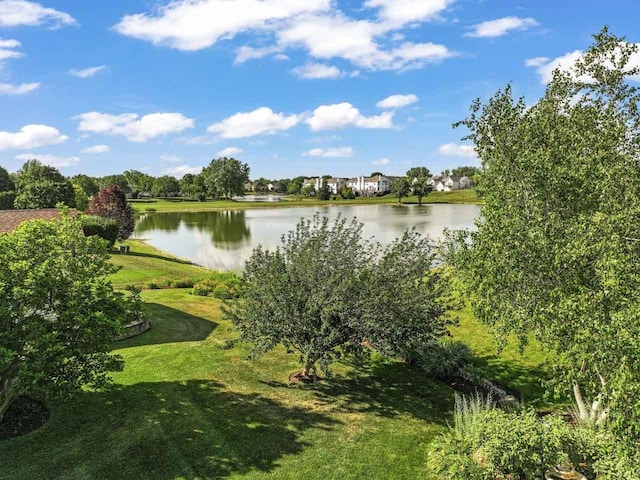 1450 Anvil Ct, Bartlett, IL 60103 - water view